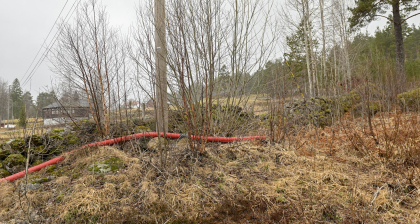 Vegusdal, Birkenes, steingjerde