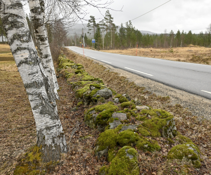 Vegusdal, Birkenes, steingjerde