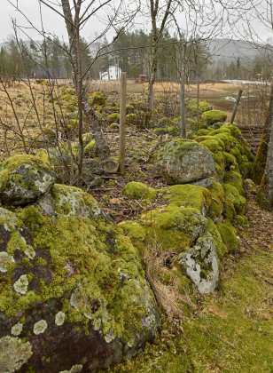 Vegusdal, Birkenes, steingjerde