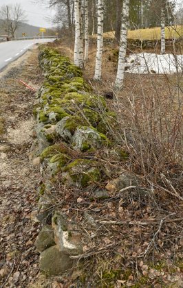 Vegusdal, Birkenes, steingjerde