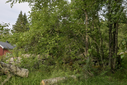 Vikst&oslash;l, Evje, tuft