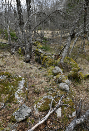 Vr&aring;st&oslash;yl, Bykle, steingjerde