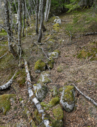 Vr&aring;st&oslash;yl, Bykle, steingjerde