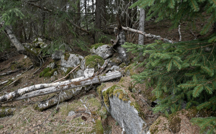 Vr&aring;lst&oslash;yl, Bykle, steingjerde