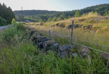 &Oslash;ygarden, Bjelland, steingjerde