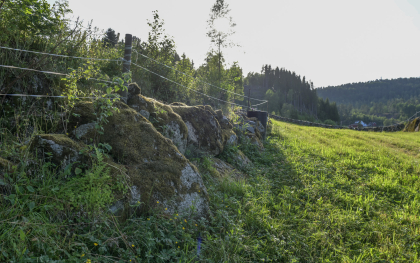 &Oslash;ygarden, Bjelland, steingjerde